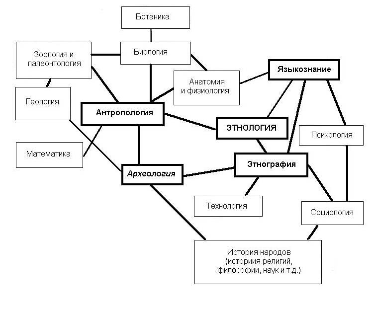 схема общая система наук